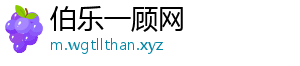 伯乐一顾网手机访问